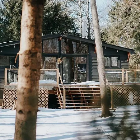 Black River Haus - Scandinavian Riverfront Cabin Muskoka Washago Exterior photo