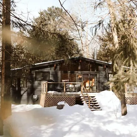 Black River Haus - Scandinavian Riverfront Cabin Muskoka Washago Exterior photo