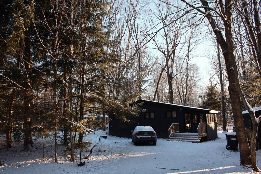Chalet Black River Haus - Scandinavian Riverfront Muskoka *